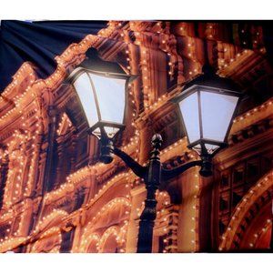 Society6 Street Light Backdrop Photography Wall Tapestry Appx 50 x 60"